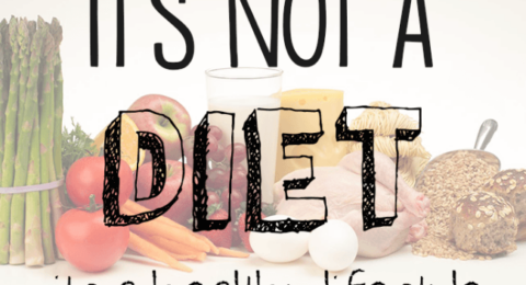 it+is+not+a+diet+it+is+healthy+lifestyle